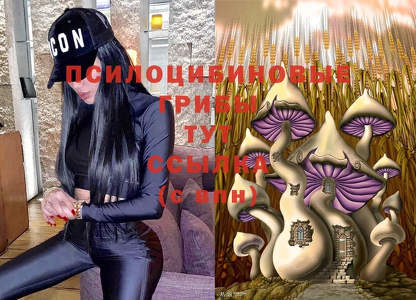 ПСИЛОЦИБИНОВЫЕ ГРИБЫ Гусев